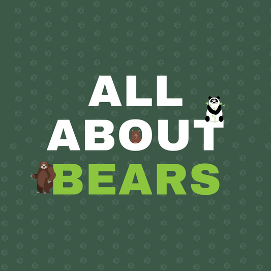 All About Bears of the World