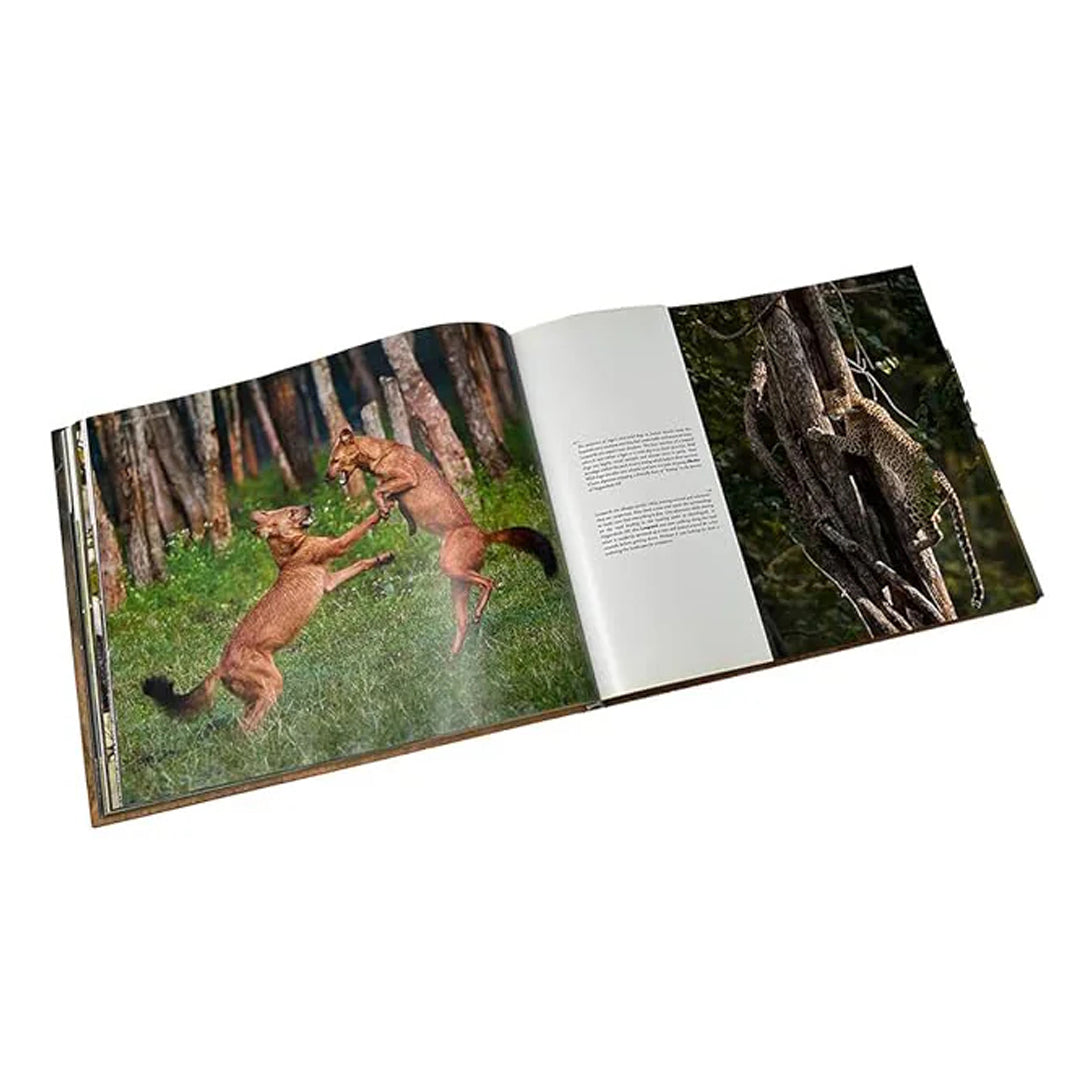 Life in the Jungle: Memoris of a forester - Coffee Table Book