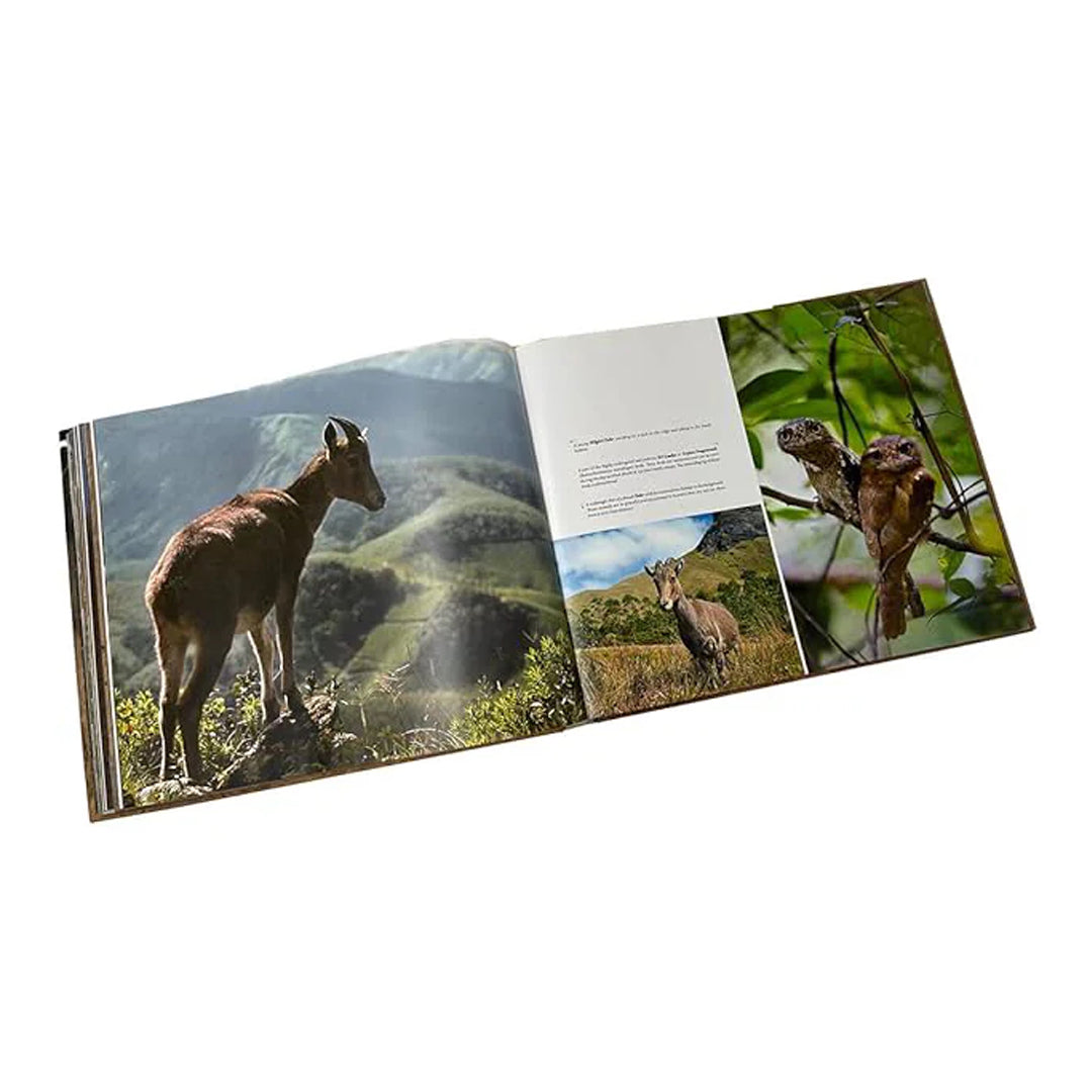 Life in the Jungle: Memoris of a forester - Coffee Table Book